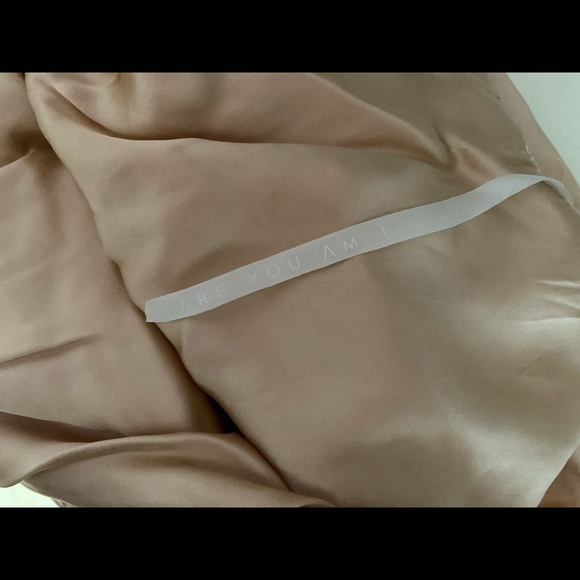 Are You Am I Crushed Velvet Zillah Slip Dress - Picture 9 of 11